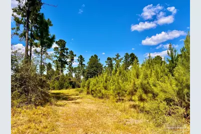 Lot 1 Morgans Branch, Molino, FL 32577 - Photo 8