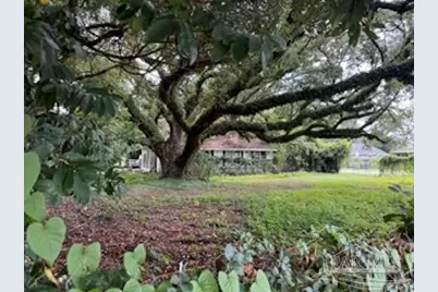 1300 N W St, Pensacola, FL 32505 - Photo 4