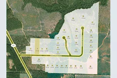 Lot 2 Morgans Branch, Molino, FL 32577 - Photo 4