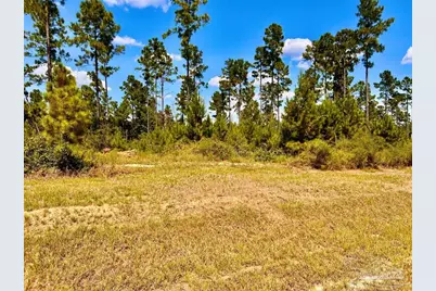 Lot 2 Morgans Branch, Molino, FL 32577 - Photo 2