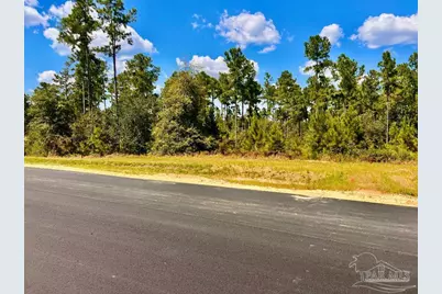 Lot 2 Morgans Branch, Molino, FL 32577 - Photo 1