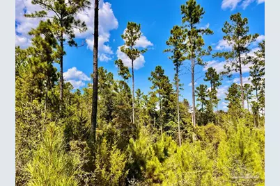 Lot 2 Morgans Branch, Molino, FL 32577 - Photo 8