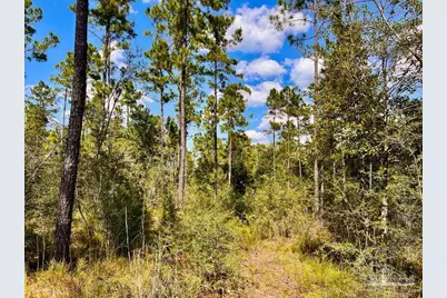 Lot 3 Morgans Branch, Molino, FL 32577 - Photo 16