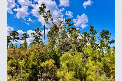 Lot 3 Morgans Branch, Molino, FL 32577 - Photo 10