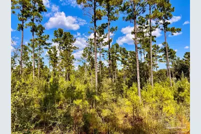 Lot 3 Morgans Branch, Molino, FL 32577 - Photo 14