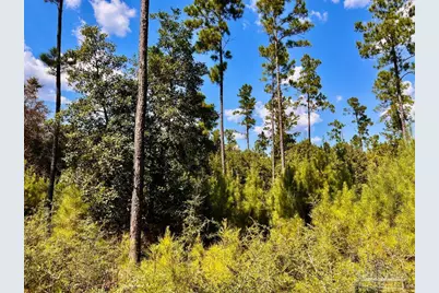 Lot 3 Morgans Branch, Molino, FL 32577 - Photo 2