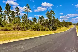Lot 3 Morgans Branch, Molino, FL 32577 - Photo 1