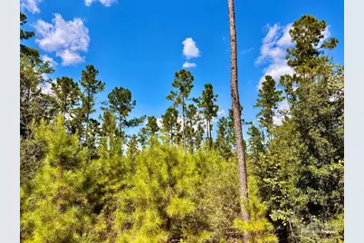 Lot 3 Morgans Branch, Molino, FL 32577 - Photo 8