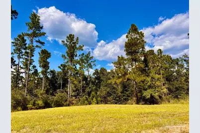 Lot 4 Morgans Branch, Molino, FL 32577 - Photo 1