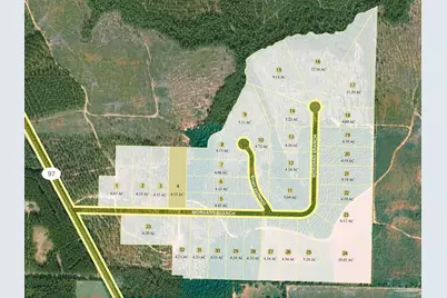 Lot 4 Morgans Branch, Molino, FL 32577 - Photo 4