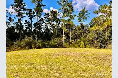 Lot 4 Morgans Branch, Molino, FL 32577 - Photo 8