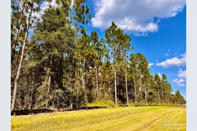 Lot 5 Morgans Branch, Molino, FL 32577 - Photo 18
