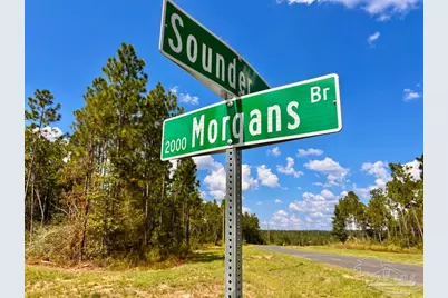 Lot 5 Morgans Branch, Molino, FL 32577 - Photo 2