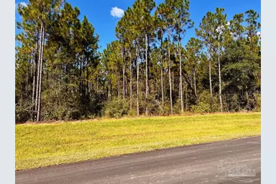 Lot 5 Morgans Branch, Molino, FL 32577 - Photo 20