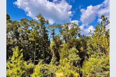 Lot 5 Morgans Branch, Molino, FL 32577 - Photo 10