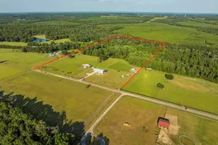 4425 Dream Acres Rd, Molino, FL 32577 - Photo 4