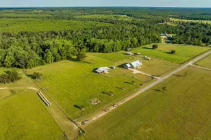 4425 Dream Acres Rd, Molino, FL 32577 - Photo 6