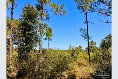 Lot 6 Sounder Dr, Molino, FL 32577 - Photo 1