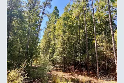 Lot 6 Sounder Dr, Molino, FL 32577 - Photo 2