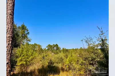 Lot 6 Sounder Dr, Molino, FL 32577 - Photo 8