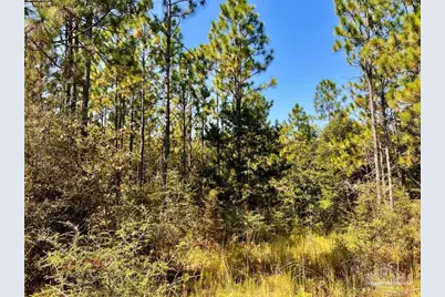 Lot 6 Sounder Dr, Molino, FL 32577 - Photo 16