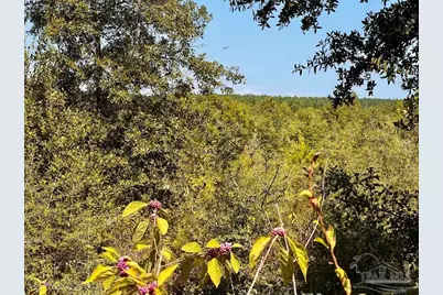 Lot 7 Sounder Dr, Molino, FL 32577 - Photo 18