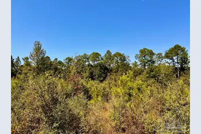 Lot 7 Sounder Dr, Molino, FL 32577 - Photo 14