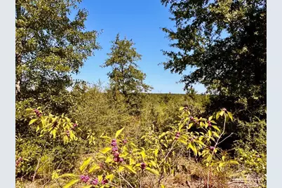 Lot 7 Sounder Dr, Molino, FL 32577 - Photo 20
