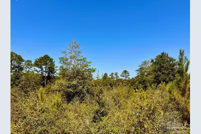 Lot 7 Sounder Dr, Molino, FL 32577 - Photo 16