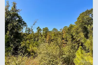 Lot 8 Sounder Dr, Molino, FL 32577 - Photo 14