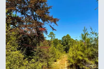 Lot 8 Sounder Dr, Molino, FL 32577 - Photo 2