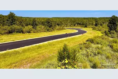 Lot 8 Sounder Dr, Molino, FL 32577 - Photo 8