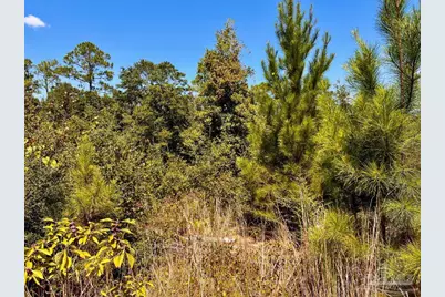 Lot 8 Sounder Dr, Molino, FL 32577 - Photo 20