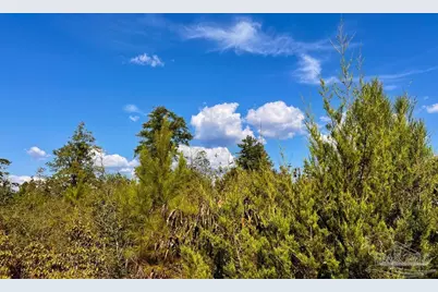Lot 9 Sounder Dr, Molino, FL 32577 - Photo 18