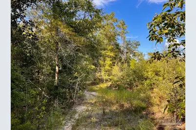 Lot 9 Sounder Dr, Molino, FL 32577 - Photo 24