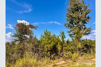 Lot 9 Sounder Dr, Molino, FL 32577 - Photo 14