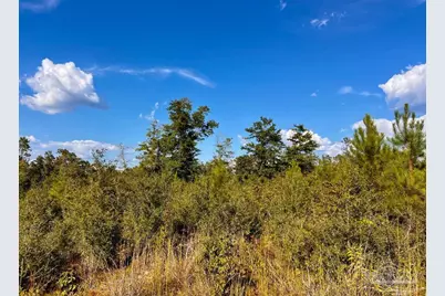 Lot 9 Sounder Dr, Molino, FL 32577 - Photo 16