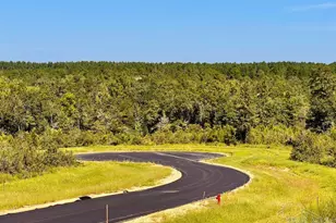 Lot 9 Sounder Dr, Molino, FL 32577 - Photo 1