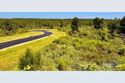 Lot 9 Sounder Dr, Molino, FL 32577 - Photo 8