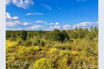 Lot 10 Sounder Dr, Molino, FL 32577 - Photo 10