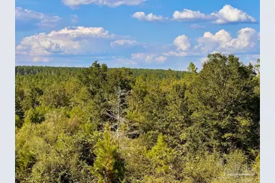 Lot 10 Sounder Dr, Molino, FL 32577 - Photo 14