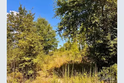 Lot 11 Morgans Branch, Molino, FL 32577 - Photo 14