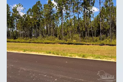 Lot 11 Morgans Branch, Molino, FL 32577 - Photo 12