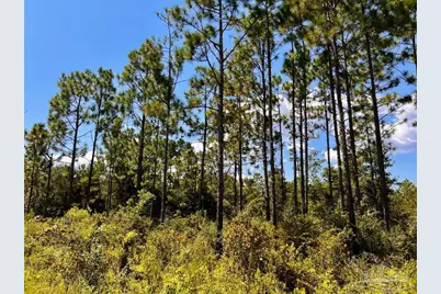 Lot 11 Morgans Branch, Molino, FL 32577 - Photo 18