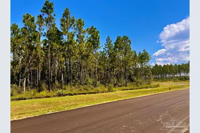 Lot 11 Morgans Branch, Molino, FL 32577 - Photo 1
