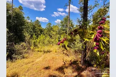 Lot 11 Morgans Branch, Molino, FL 32577 - Photo 8