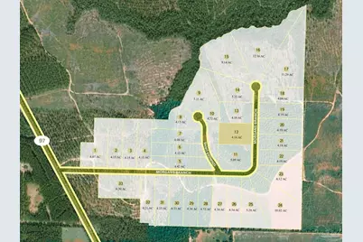 Lot 12 Morgans Branch, Molino, FL 32577 - Photo 4