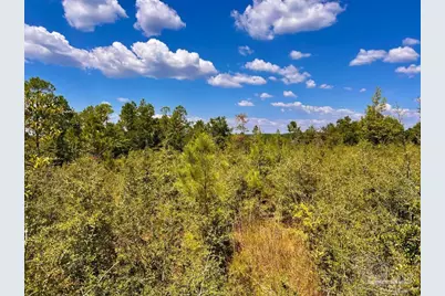 Lot 12 Morgans Branch, Molino, FL 32577 - Photo 1