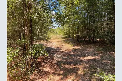 Lot 12 Morgans Branch, Molino, FL 32577 - Photo 12