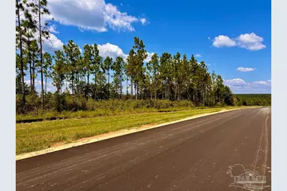Lot 12 Morgans Branch, Molino, FL 32577 - Photo 6